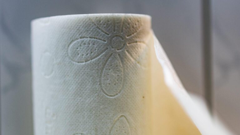 Papier_toilette___la_vraie_raison_technique_derri_re_les_motifs_gaufr_s__et_ce_n_rsquo_est_pas_la_d_coration_