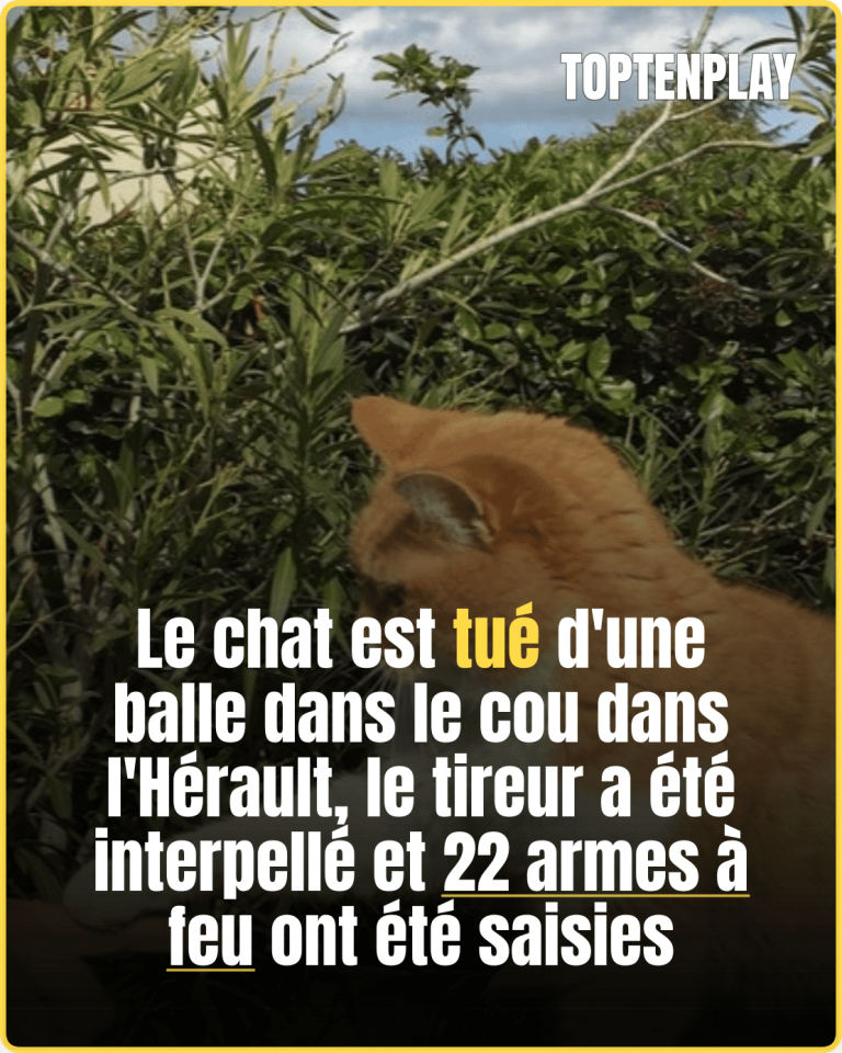 articleops-1774831140176