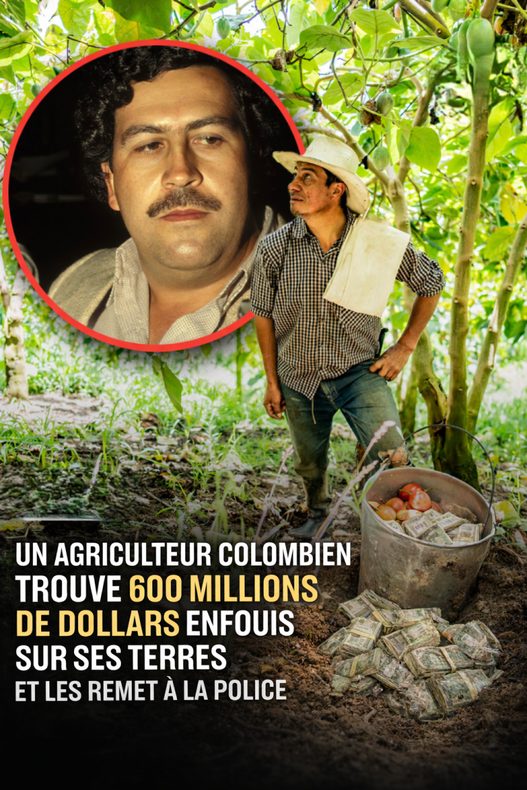 Farm worker uncovers hidden fortune