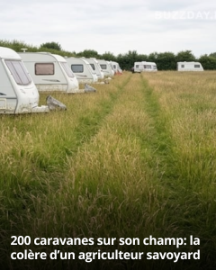 articleops-1785008417683